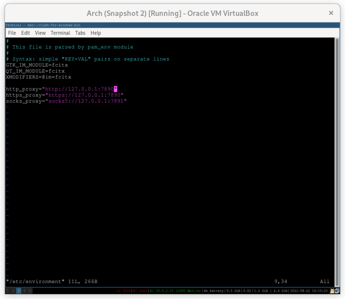 chromium 成功代理 2022-08-22 16-15-32.png